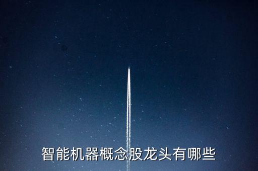 智能機器概念股龍頭有哪些