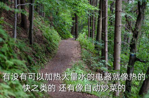 有沒有可以加熱大量水的電器就像熱的快之類的 還有像自動(dòng)炒菜的