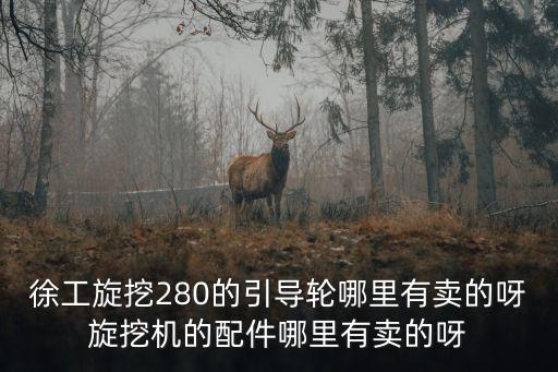 徐工旋挖280的引導(dǎo)輪哪里有賣(mài)的呀旋挖機(jī)的配件哪里有賣(mài)的呀