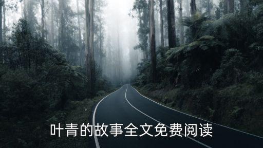 葉青的故事全文免費閱讀