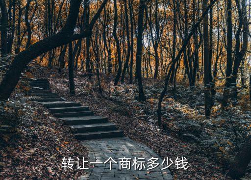 轉(zhuǎn)讓一個商標多少錢
