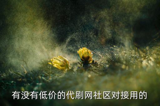 有沒有低價的代刷網(wǎng)社區(qū)對接用的