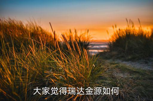 大家覺(jué)得瑞達(dá)金源如何