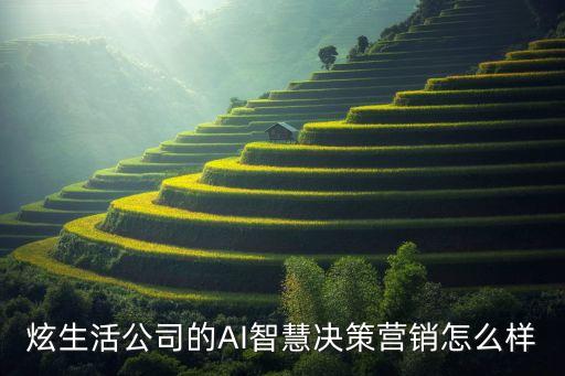 炫生活公司的AI智慧決策營銷怎么樣