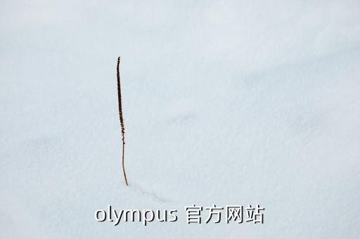 olympus 官方網(wǎng)站