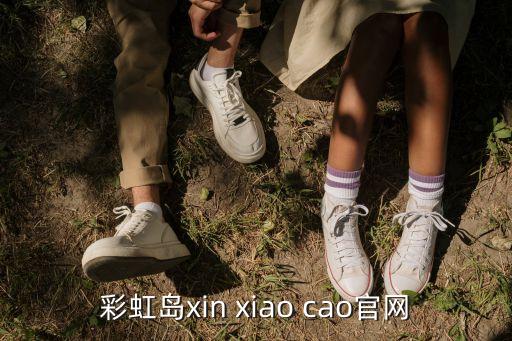 彩虹卡盟網(wǎng)址，卡盟還是彩虹卡盟好是不