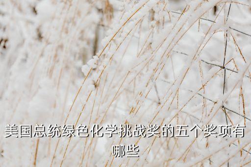 美國科技獎項(xiàng)，美國有沒有互聯(lián)網(wǎng)杰出科技成就獎