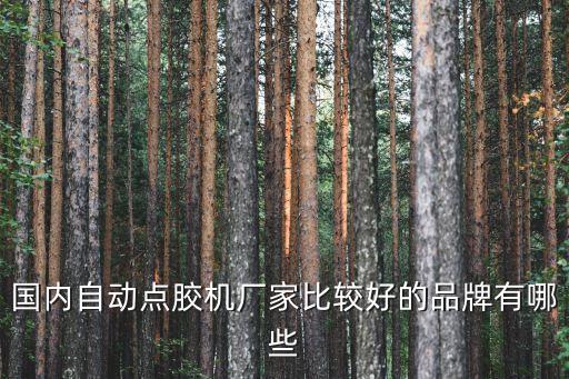 國內(nèi)自動(dòng)點(diǎn)膠機(jī)廠家比較好的品牌有哪些