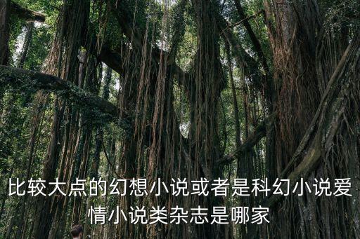 比較大點的幻想小說或者是科幻小說愛情小說類雜志是哪家
