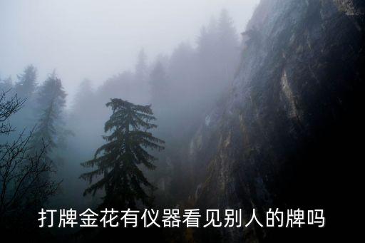 打牌金花有儀器看見別人的牌嗎