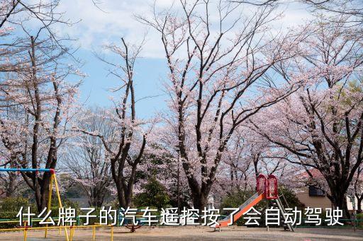什么牌子的汽車遙控按了會(huì)自動(dòng)駕駛
