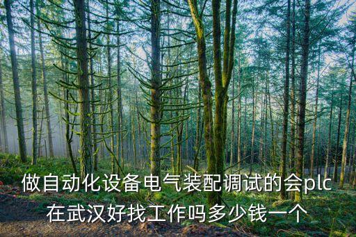 做自動化設備電氣裝配調試的會plc在武漢好找工作嗎多少錢一個