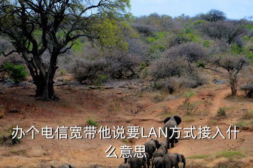 智能設(shè)備網(wǎng)線接入是什么意思，什么是EPON LAN終端怎么理解 網(wǎng)速快不快 是光釬介入嗎 ADSL是什