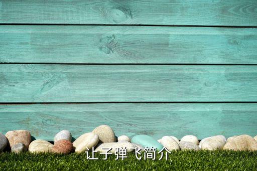 開啟黑科技時代百科，讓子彈飛簡介