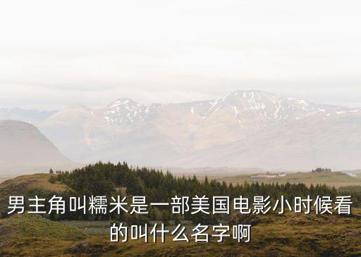 男主角叫糯米是一部美國電影小時候看的叫什么名字啊