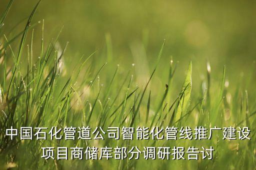 中國石化管道公司智能化管線推廣建設(shè)項(xiàng)目商儲庫部分調(diào)研報(bào)告討