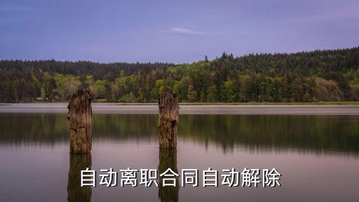 自動離職合同自動解除