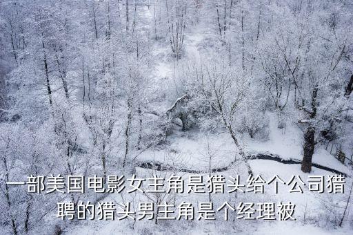 一部美國(guó)電影女主角是獵頭給個(gè)公司獵聘的獵頭男主角是個(gè)經(jīng)理被