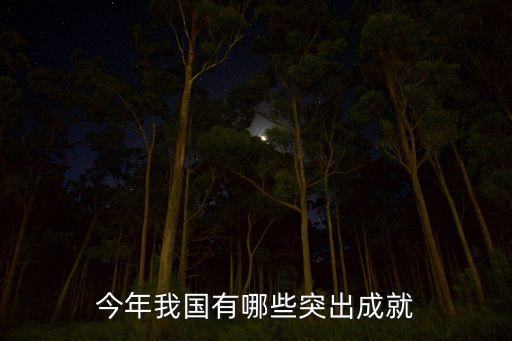 中國(guó)有哪些突破性的成就，今年我國(guó)有哪些突出成就