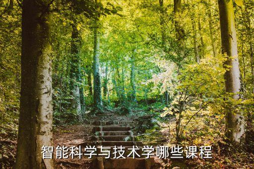 智能科學(xué)與技術(shù)有哪些課程，智能科學(xué)與技術(shù)學(xué)哪些課程