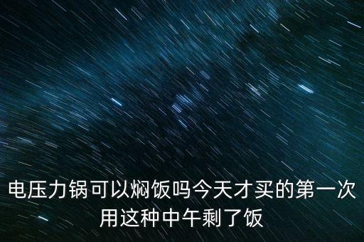 電壓力鍋可以燜飯嗎今天才買的第一次用這種中午剩了飯
