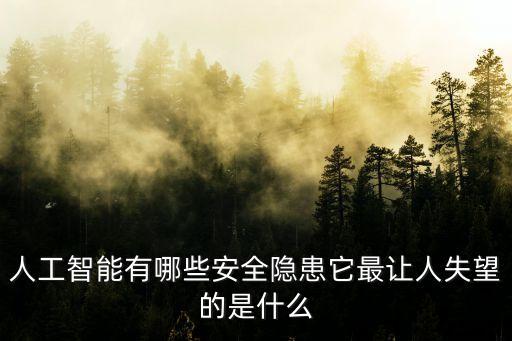 人工智能領(lǐng)域有哪些重大風(fēng)險(xiǎn)問(wèn)題，人工智能有哪些安全隱患它最讓人失望的是什么