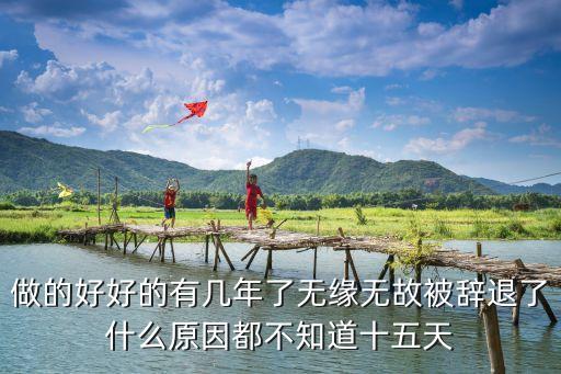 做的好好的有幾年了無緣無故被辭退了什么原因都不知道十五天