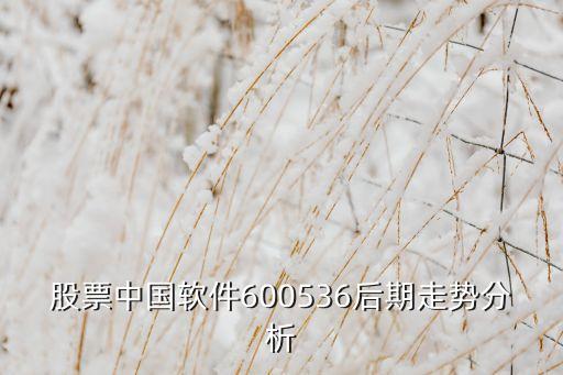 中國(guó)軟件股票今日價(jià)格，中國(guó)股票行情中心