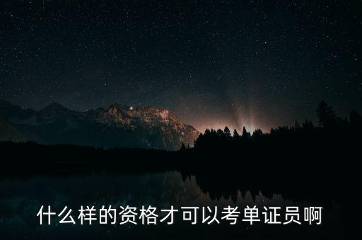 什么樣的資格才可以考單證員啊
