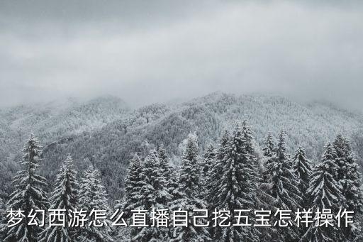 夢(mèng)幻西游怎么直播自己挖五寶怎樣操作