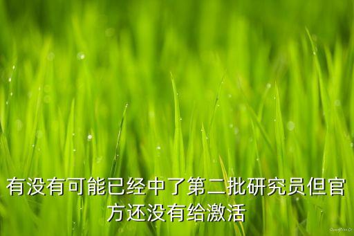 有沒有可能已經(jīng)中了第二批研究員但官方還沒有給激活