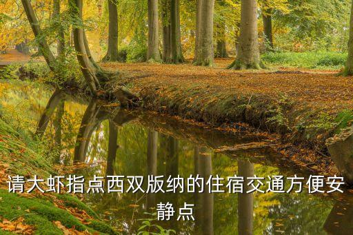 請大蝦指點西雙版納的住宿交通方便安靜點