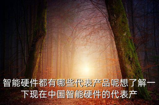 智能硬件都有哪些代表產(chǎn)品呢想了解一下現(xiàn)在中國智能硬件的代表產(chǎn)