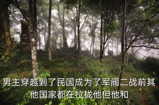 男主穿越到了民國成為了軍閥二戰(zhàn)前其他國家都在拉攏他但他和