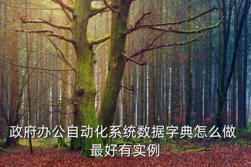 政府辦公自動化系統(tǒng)數(shù)據(jù)字典怎么做 最好有實例
