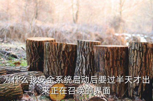 超級科技天才系統(tǒng) 盤古系統(tǒng)，為什么我安全系統(tǒng)啟動后要過半天才出來正在召喚的界面