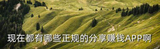 安卓手機(jī)賺錢平臺(tái)正規(guī)，有沒有什么安卓類APP可以賺錢