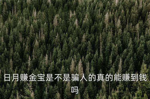 日月賺金寶是不是騙人的真的能賺到錢嗎