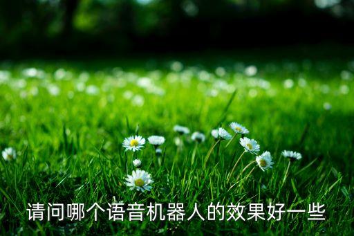 請問哪個語音機器人的效果好一些