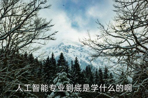 人工智能專業(yè)到底是學什么的啊
