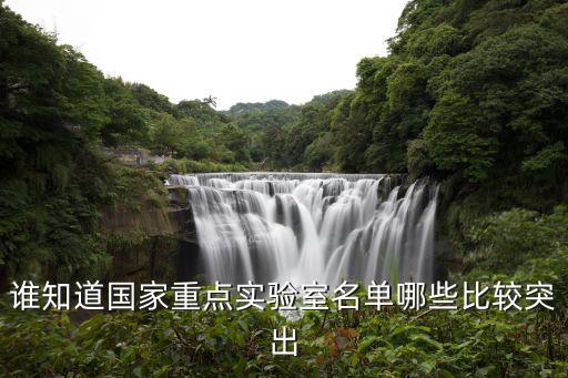 誰(shuí)知道國(guó)家重點(diǎn)實(shí)驗(yàn)室名單哪些比較突出