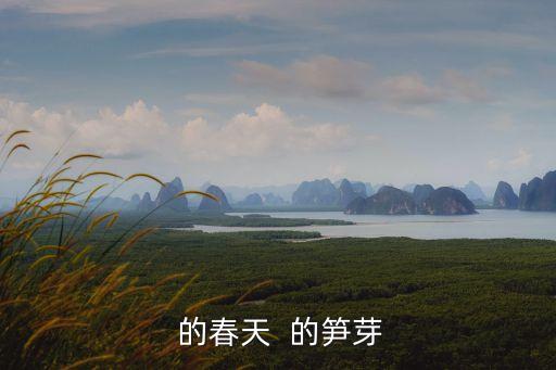  的春天  的筍芽