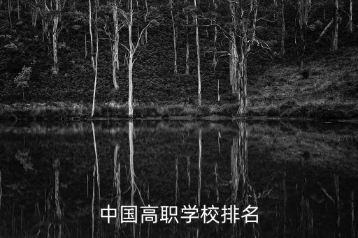 全國(guó)職業(yè)技術(shù)學(xué)院排名前十，中國(guó)高職學(xué)校排名
