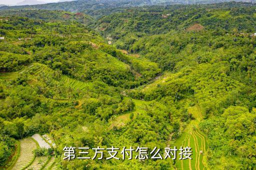 第三方支付怎么對接