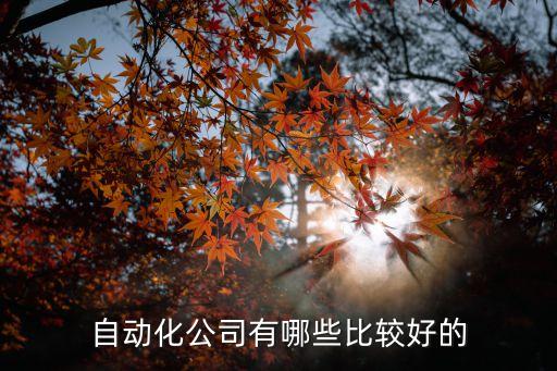 自動(dòng)化公司有哪些比較好的