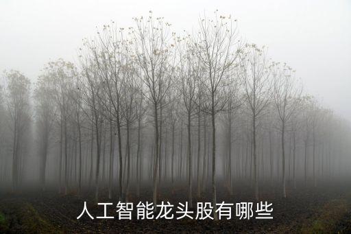 人工智能類的股票有哪些龍頭股，人工智能龍頭股有哪些