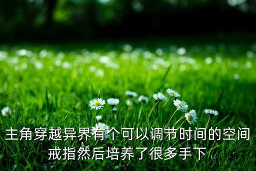 主角穿越異界有個(gè)可以調(diào)節(jié)時(shí)間的空間戒指然后培養(yǎng)了很多手下