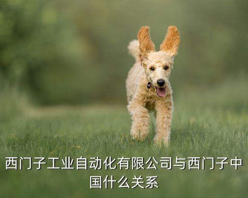 西門子工業(yè)自動(dòng)化有限公司與西門子中國什么關(guān)系