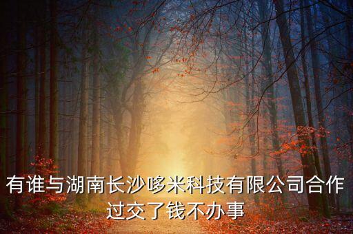 哆咪科技有限公司，有誰與湖南長沙哆米科技有限公司合作過交了錢不辦事