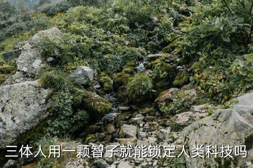 三體人用一顆智子就能鎖定人類(lèi)科技嗎